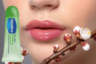 Best Lip Balm In India