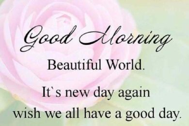 Beautiful:9wbski9gule0 = Good Morning