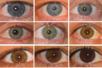 Hazel:3tfuc-Xwiv8= Eye Color Chart
