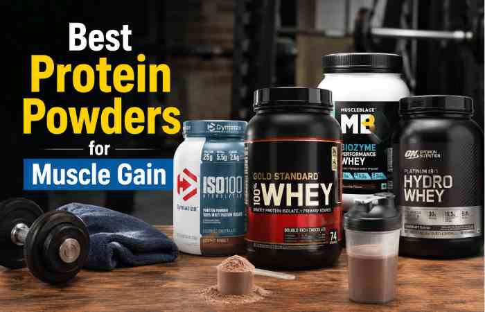 Best Protein Powders for Muscle Gain