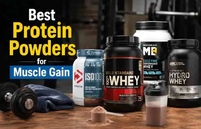 Best Protein Powders for Muscle Gain