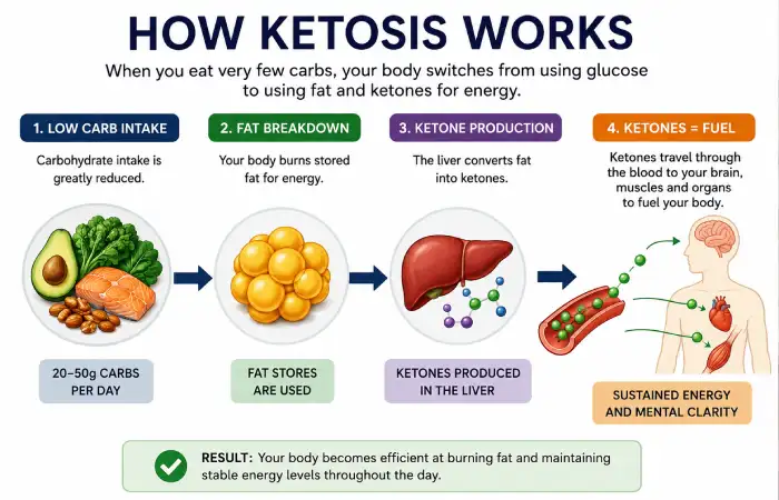 How Ketosis Works